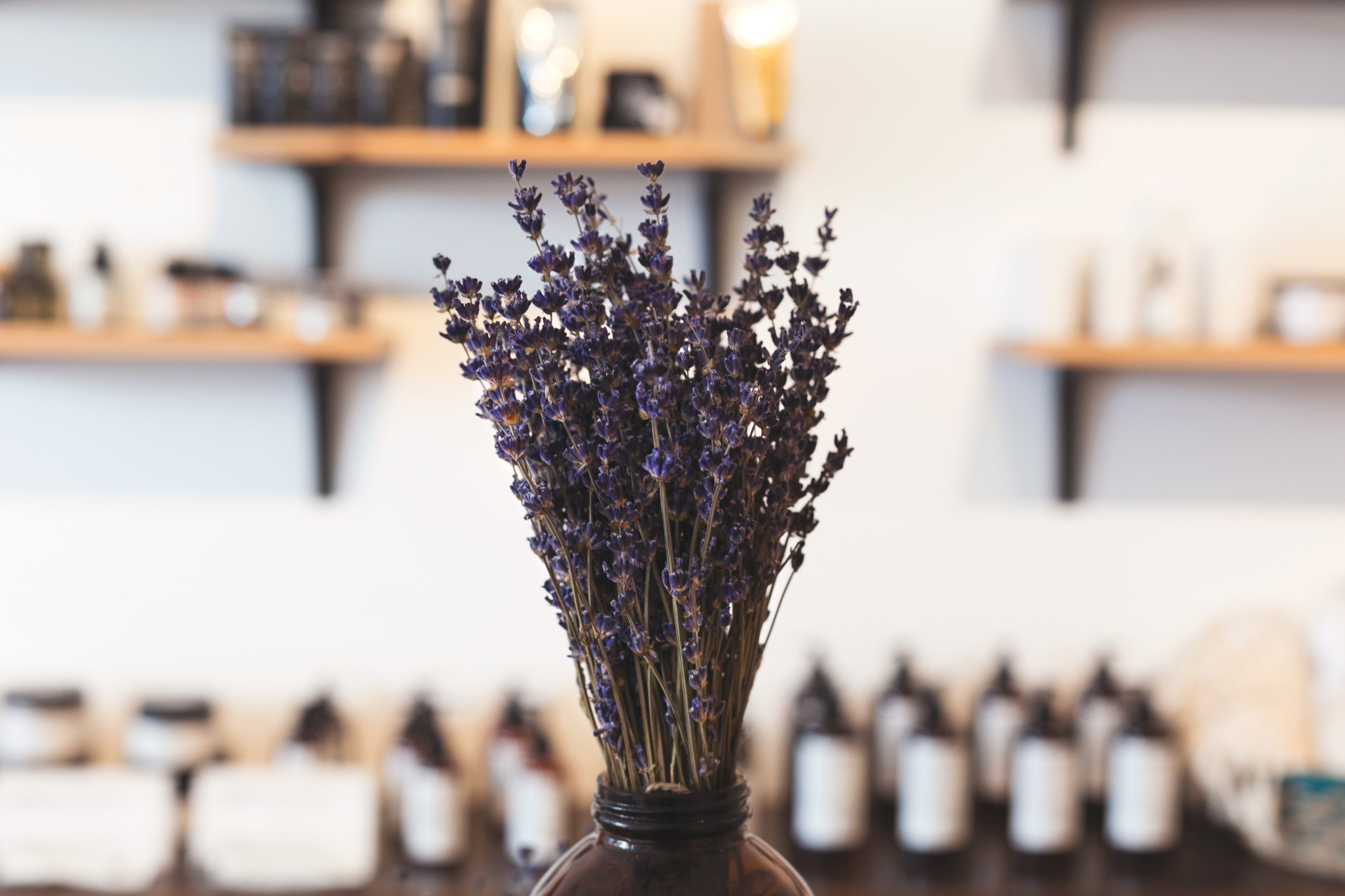 Lavender in shop